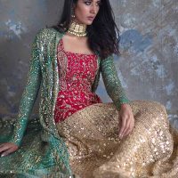 Gold Lehnga choli with Zardozi birds