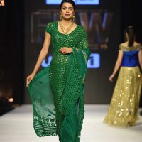 Trousseau Saree with zardozi birds